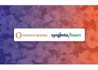 Dümmen Orange e Syngenta Flowers uniscono le forze: nasce una nuova realtà per il breeding e la propagazione