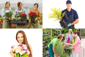Produzione florovivaistica italiana: nuovo record nel 2024 con oltre 3,25 miliardi di Euro