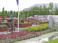 Moerheim