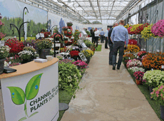 Channel Island Plants Ltd