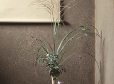Ikebana, l'arte giapponese di disporre i fiori.