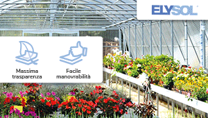 Banner Elysol 300x170px 02