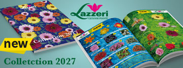 LAZZERI