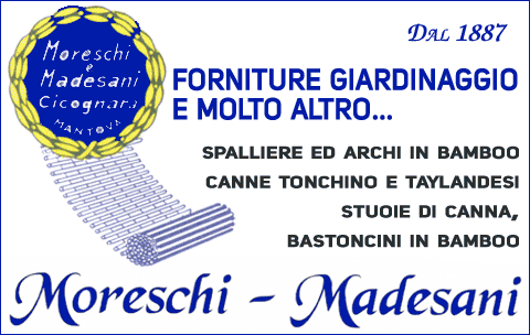 moreschi madesani new