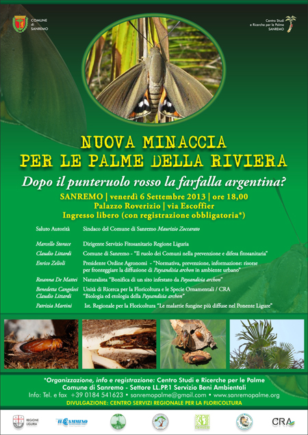 20130906palme-Paysandisia-programma-1