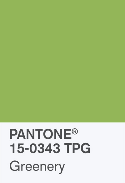 PantoneChip 15 0343 TPG Greenery