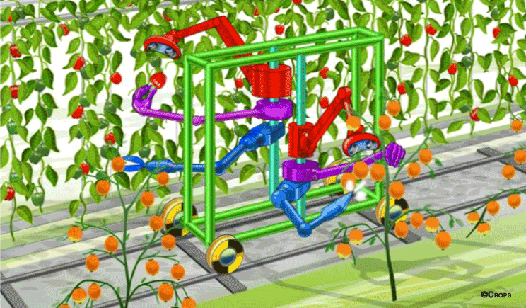 cordis robot agricoltura