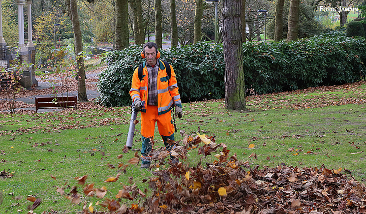 giardiniere gardener foglie autunno