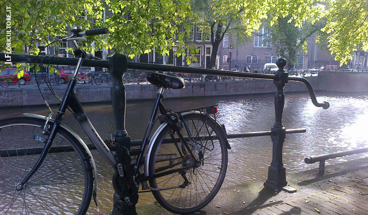 olanda viaggio biciclette canali amsterdam
