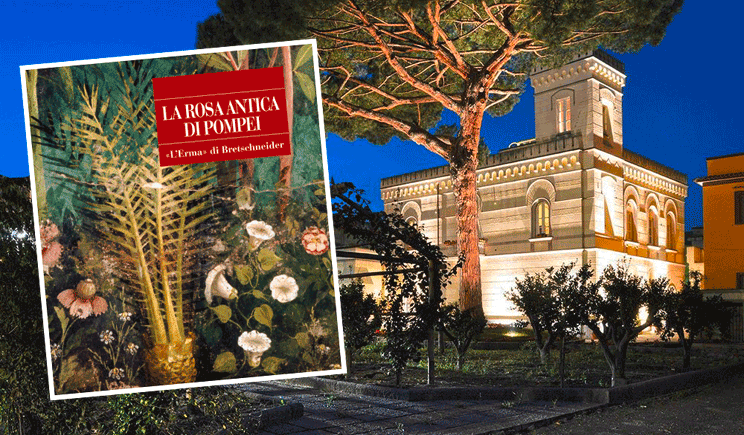 pompei Villa Silvana libro rosa antica pompei