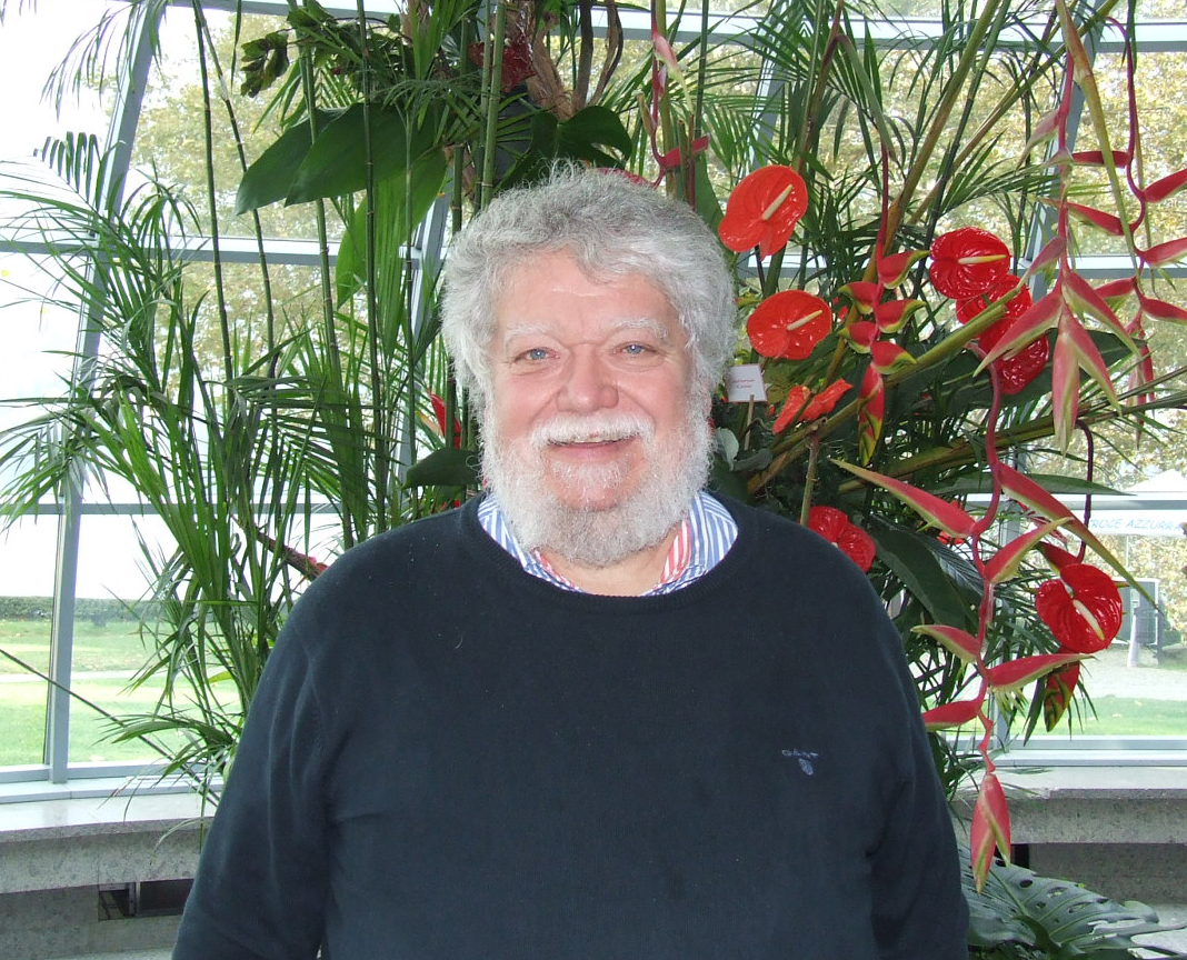 alfredo ratti 02