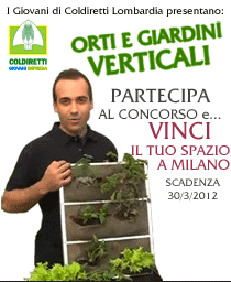 concorsoverticali