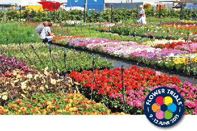 flowertrials-2015