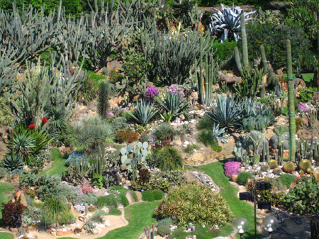 hortus_magnus_2012_concorso