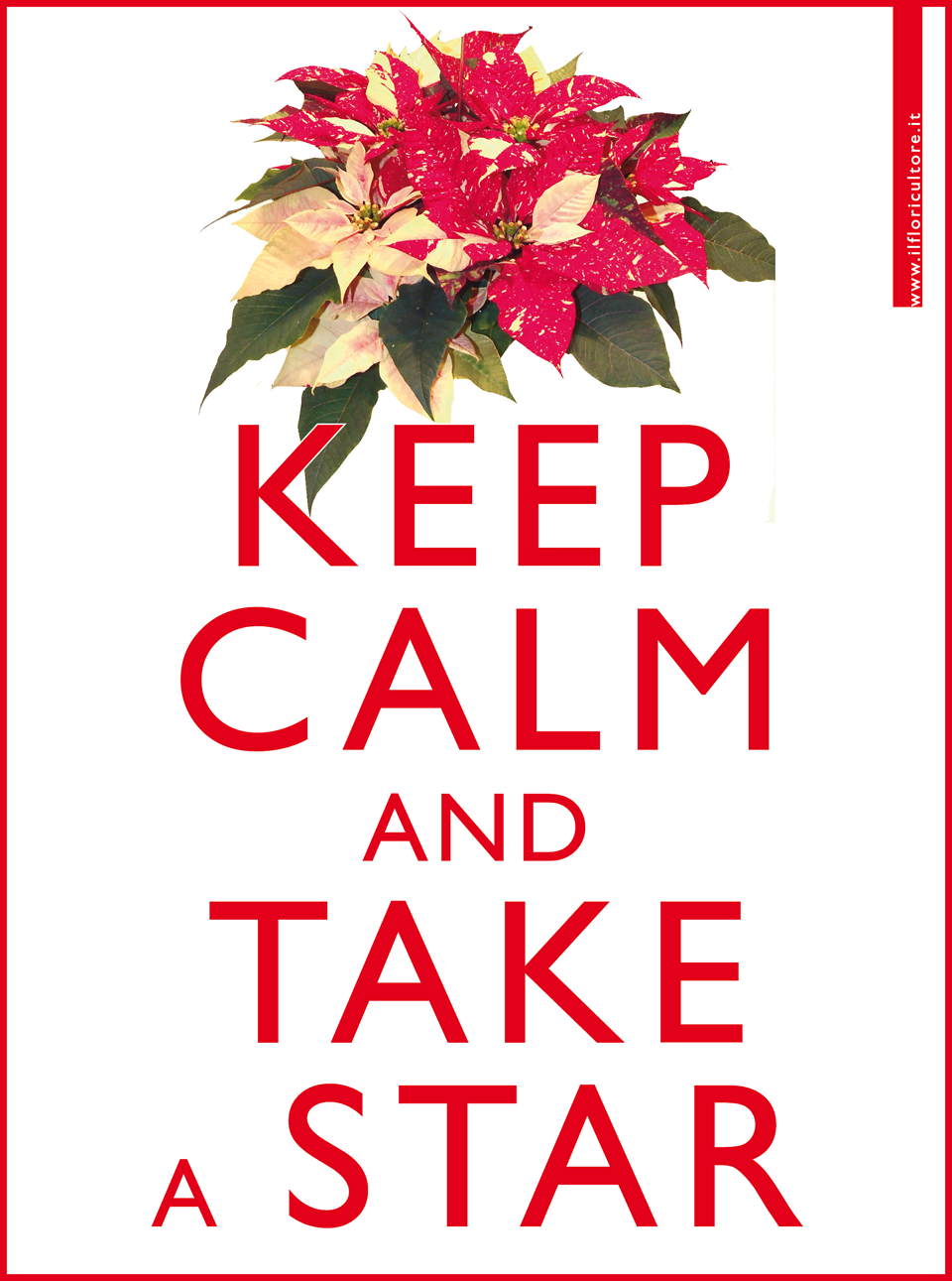 keep-calm-take-a-star