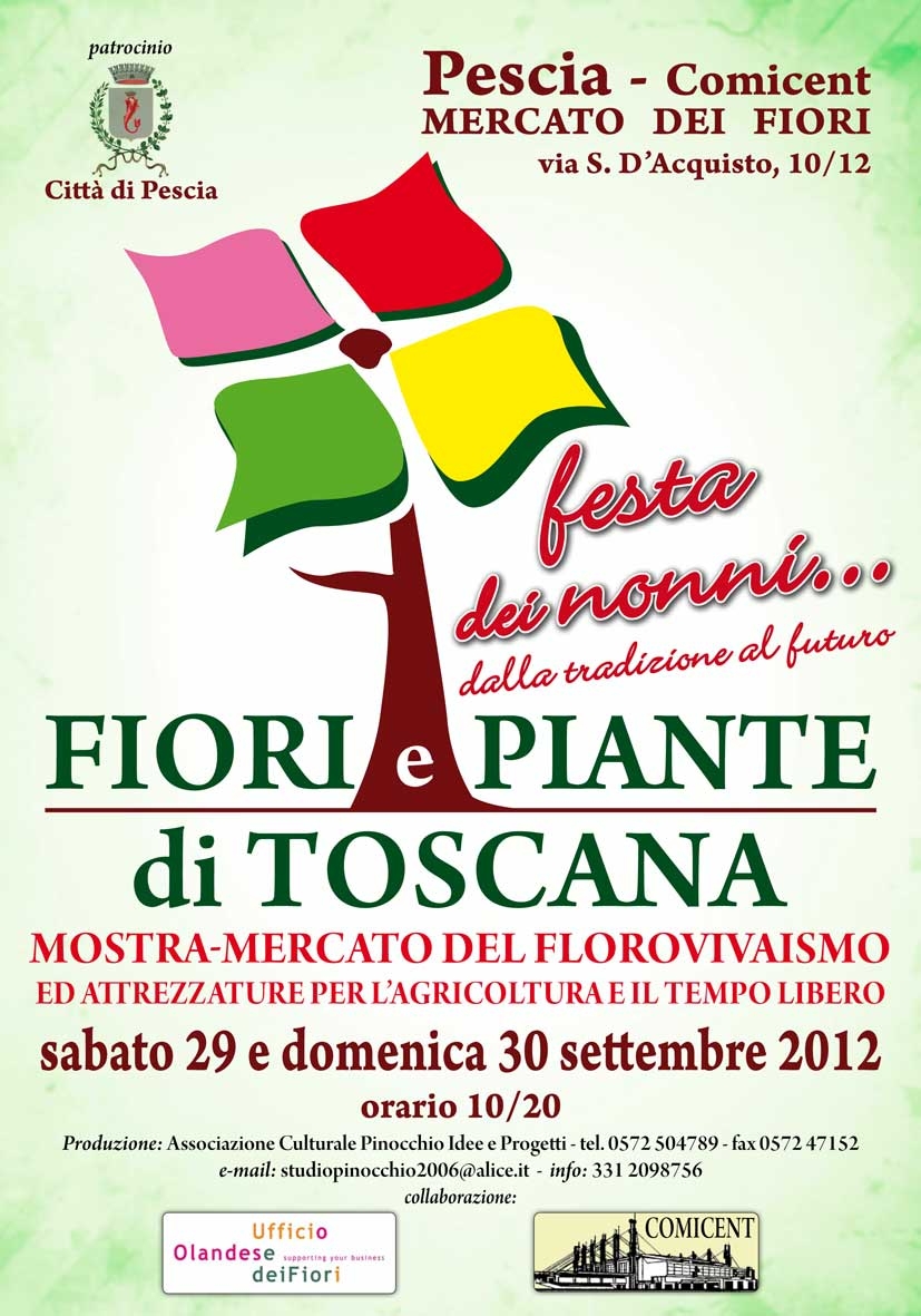 locandina-fiori-e-p2012festanonni