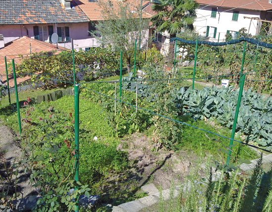 orti