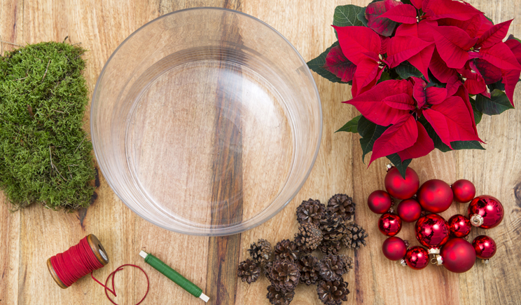 01 deco vaso rosso chich stelle di natale poinsettia stella foto copyright Stars for Europe