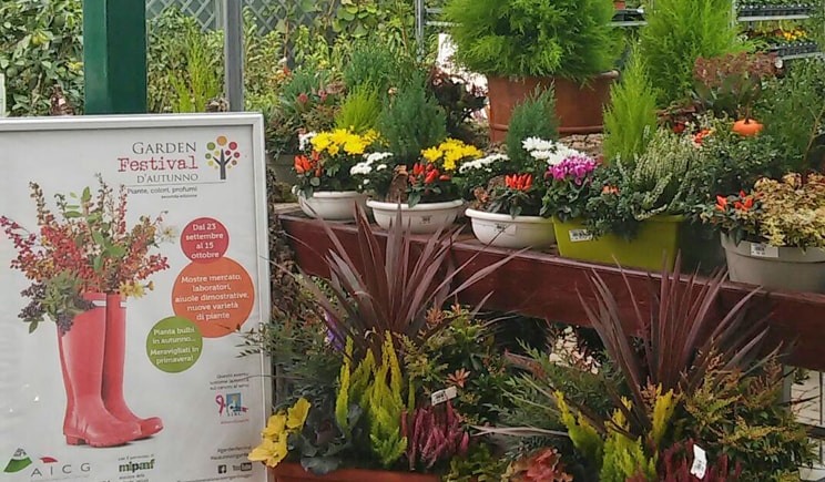 aicg garden festival autunno min