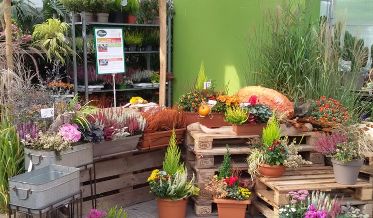 aicg garden festival autunno cover min