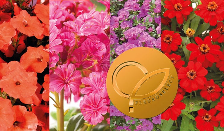 fleuroselect gold medal 2017 min