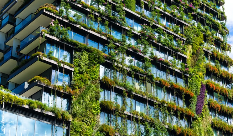 verde facciata palazzo resilienza cambiamenti climatici foto Olga Kashubin shutterstock min