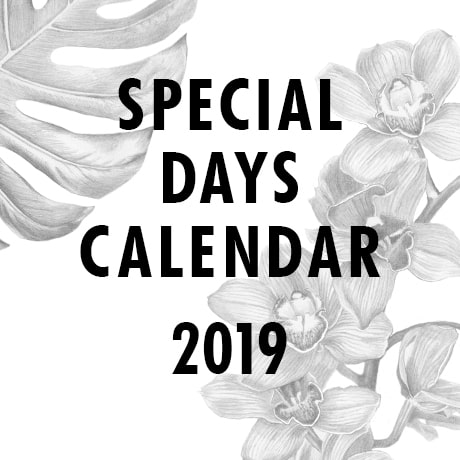 CLICCARE SULL'IMMAGINE PER SCARICARE IL CALENDARIO Special Days 2019 min