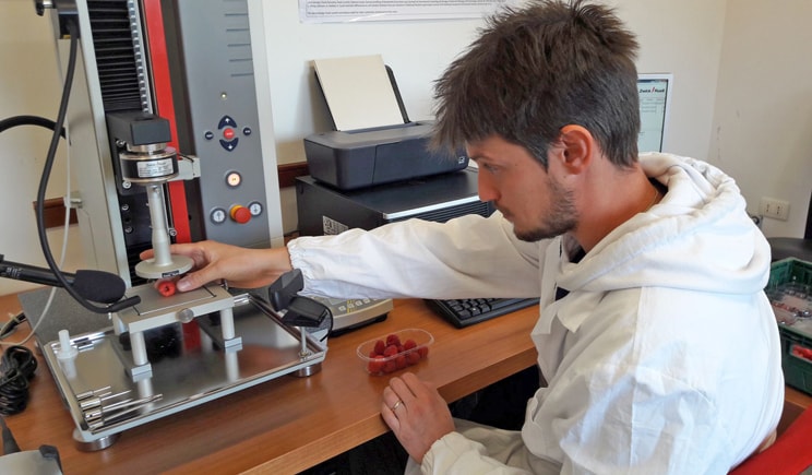 fondazione mach piccoli frutti ricerca min