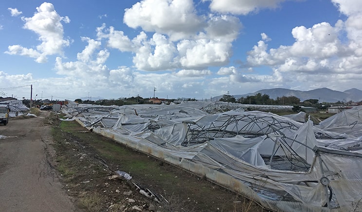 gartenbau versicherung maltempo italia lazio min
