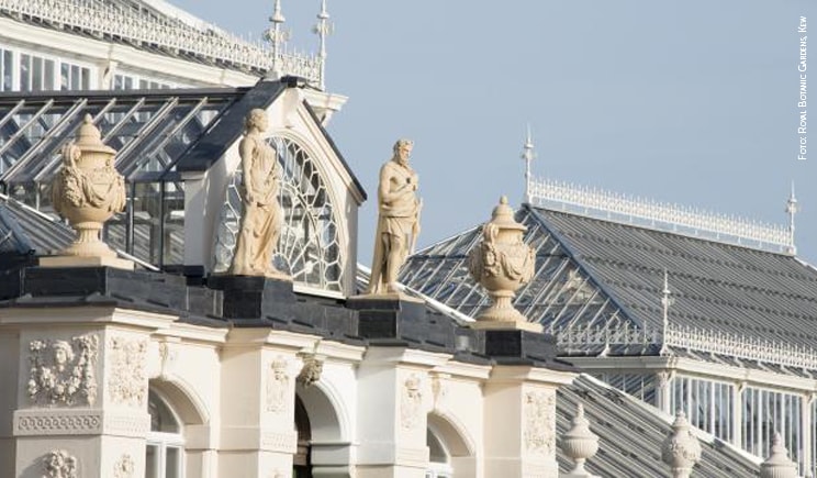 kew gardens temperate house particolare foto copyright Royal Botanic Gardens Kew min