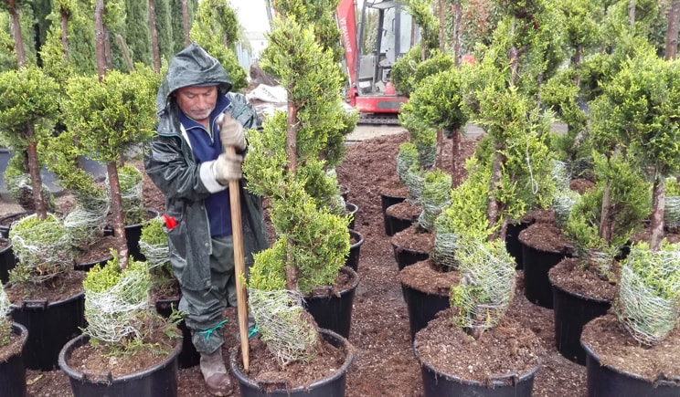 lavoro in un vivaio coldiretti min