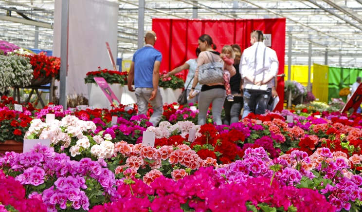 porte aperte 2018 ALTO ADIGE min