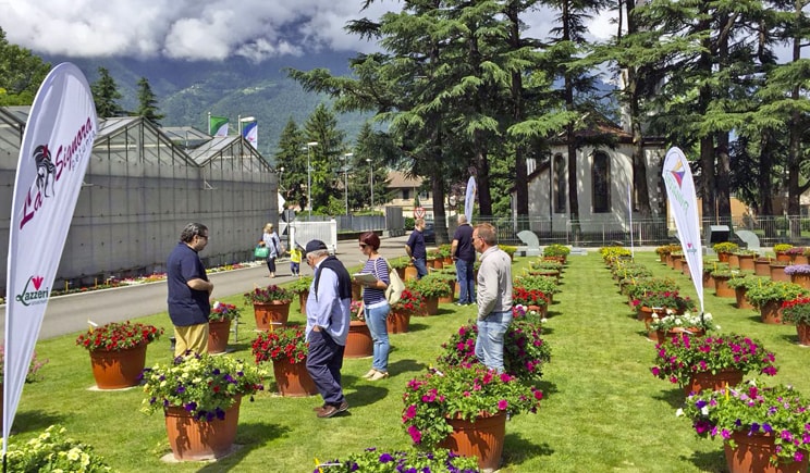 porte aperte 2018 LAZZERI min