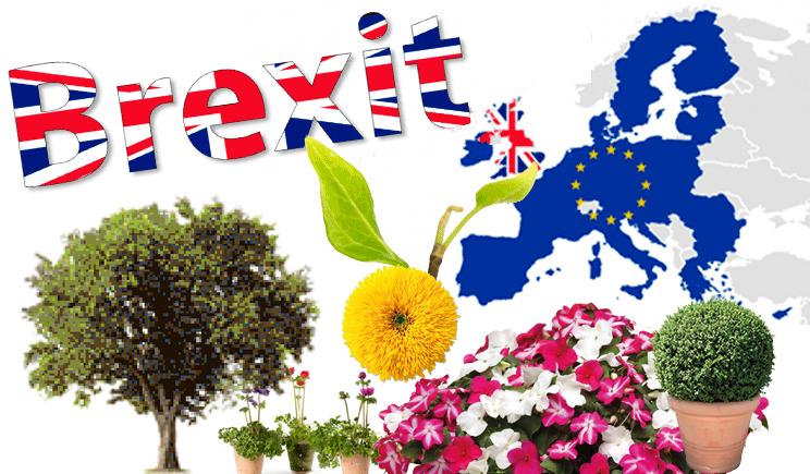 brexit import export piante controlli fitosanitari passaporto piante