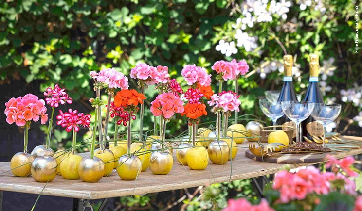 geranio party mele estate 2019 foto copyright Pelargonium for Europe min