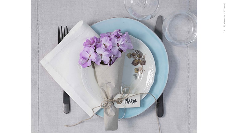 geranio party tavola estate 2019 foto copyright Pelargonium for Europe min