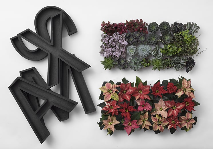 poinsettia décor christmas letter 2019 foto copyright Stars for Europe min