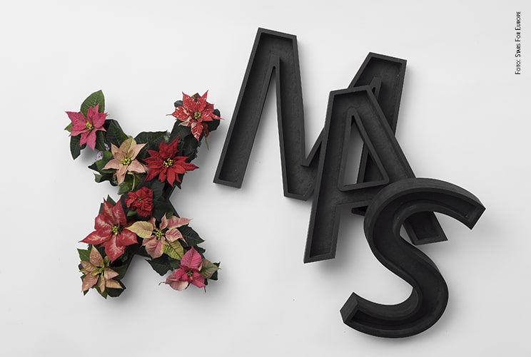 poinsettia décor christmas letters Stelle di Natale 02 2019 foto copyright Stars for Europe min