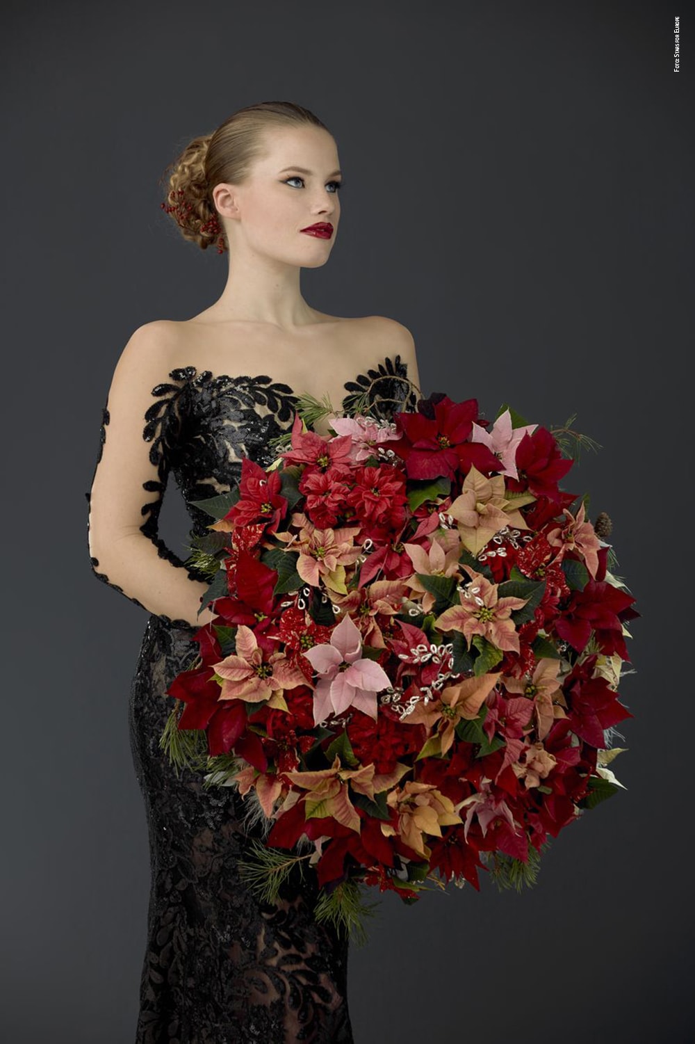poinsettia winter bride 2019 bouquet BK foto copyright Stars for Europe min