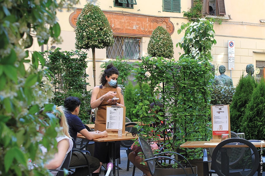 distanziatori piante ristorante Foto Giorgio Tesi Group min