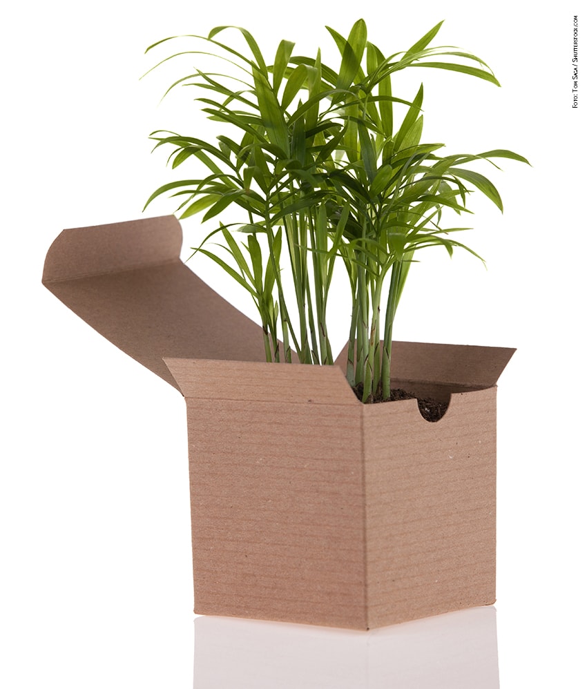 ecommerce foto copyright shutterstock Tom Saga min
