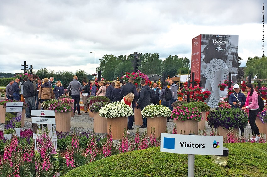 flowertrials2019 generale foto copyright Il Floricultore Agrital Editrice min