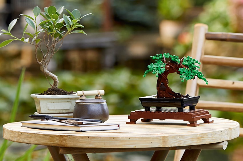 ap LEGO Botanical collection bonsai 01 min