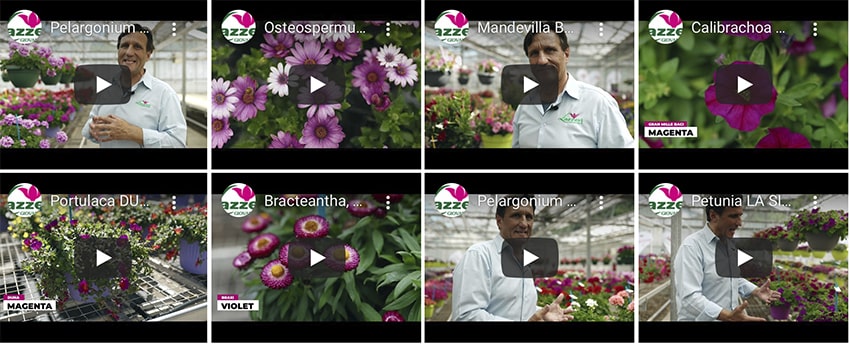 ap Lazzeri Showgarden 2021 video min