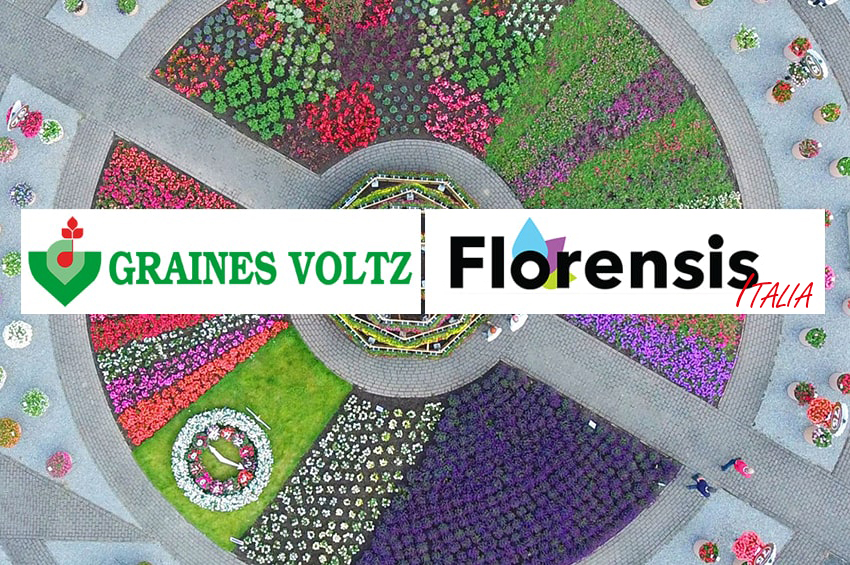 ap acquisizione Florensis Italia Graines Voltz min