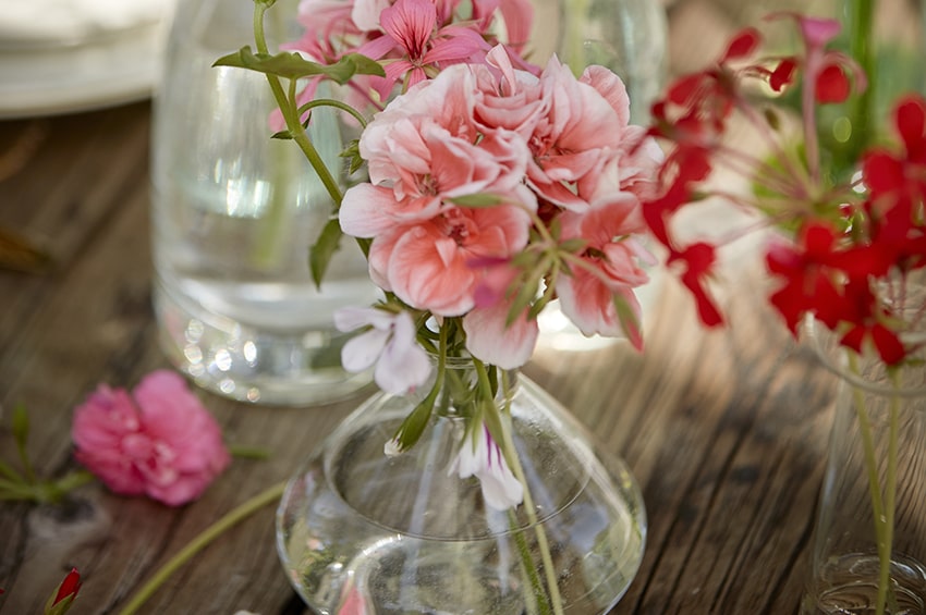 arte floreale gerani mise en place tavola 01 bis Foto copyright Pelargonium for Europe min
