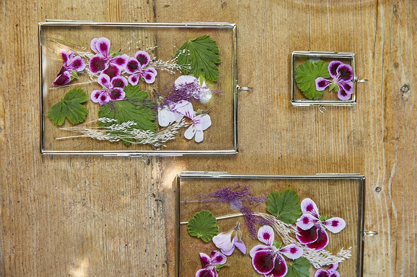 arte floreale gerani mise en place tavola 03 bis Foto copyright Pelargonium for Europe min