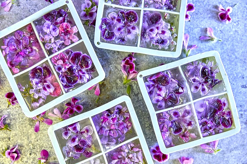 arte floreale gerani mise en place tavola 05 Foto copyright Pelargonium for Europe min