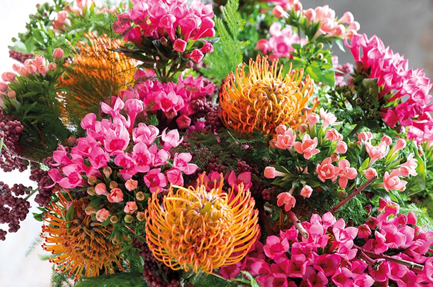 arte floreale Bouvardia Protea summer inspiration min