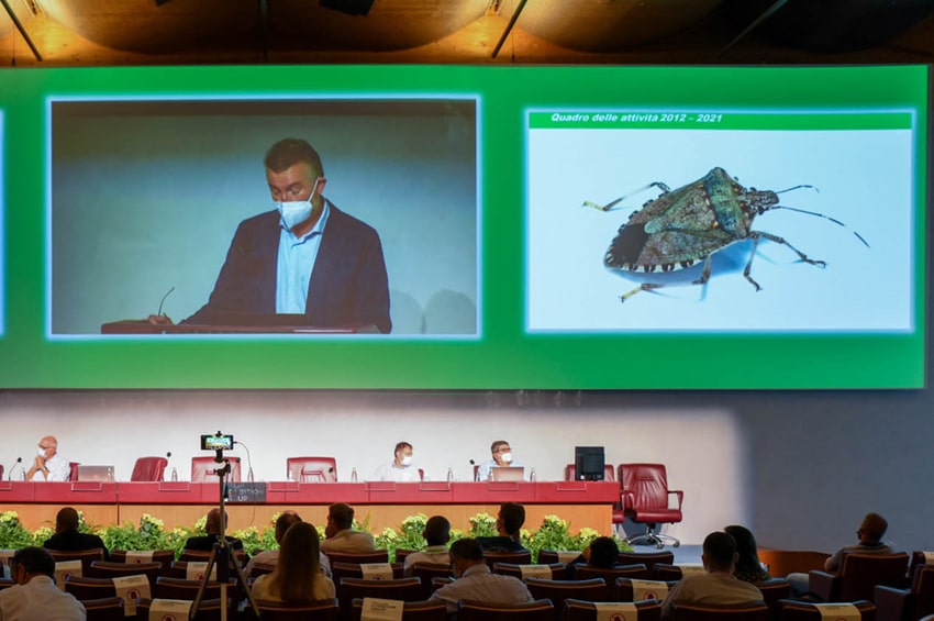 difesa colture cimice asiatica convegno macfrut Biosolutions International Congress min